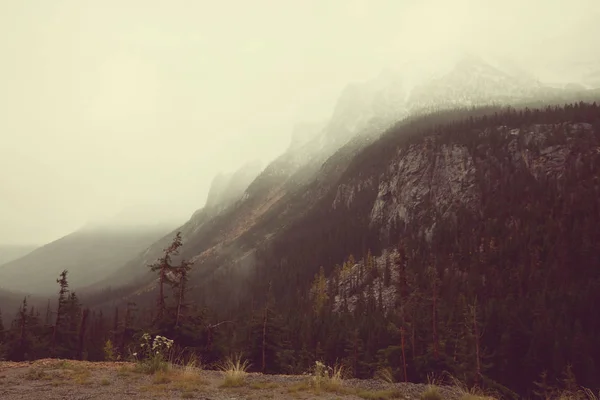 Fog in mountains at sunrise — Stock Photo, Image