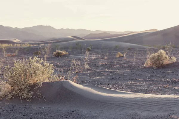 Wydmy piaskowe na pustyni Sahara — Zdjęcie stockowe
