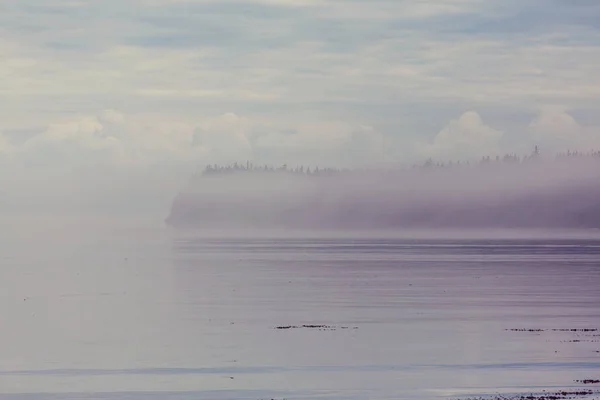 Vancouver Island. Kanada — Zdjęcie stockowe