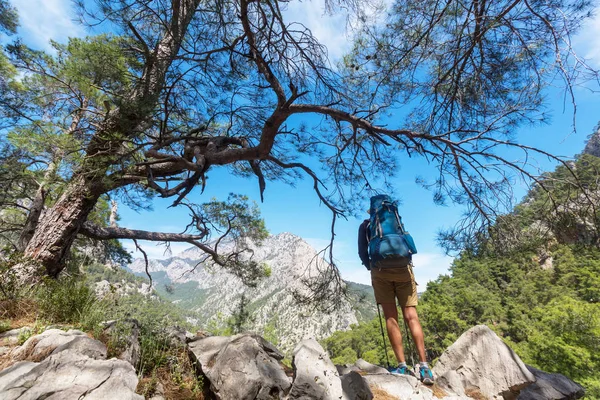 Backpacker auf den Spuren. — Stockfoto