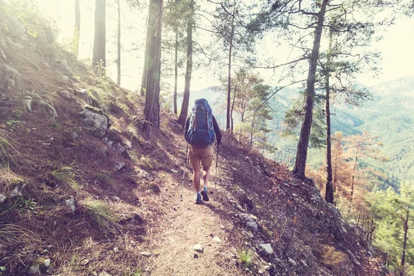 Backpacker in the trail. — Stock Photo, Image