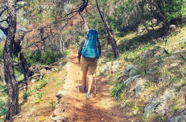 Backpacker auf den Spuren. — Stockfoto