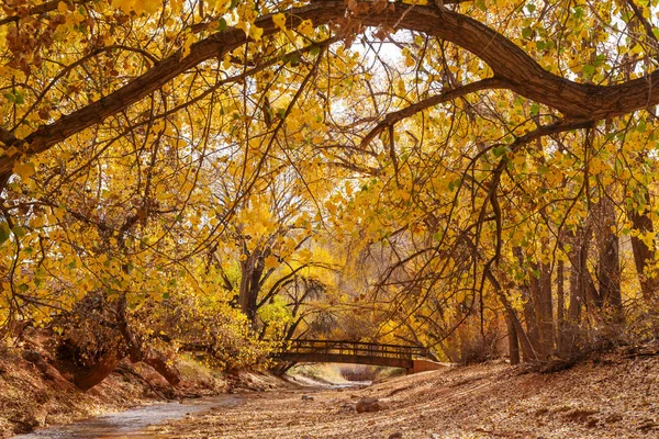 Pont dans la forêt d'automne — Photo