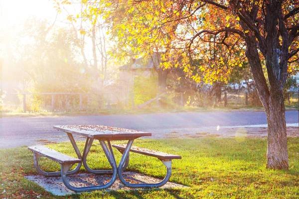 Piknikový stůl na trávě — Stock fotografie