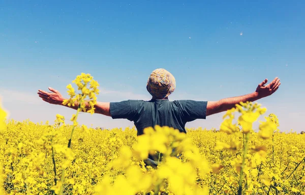 Uomo felice nel campo giallo — Foto Stock