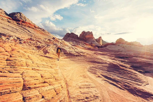 Uzun yürüyüşe çıkan kimse Vermilion kayalıklarla Ulusal Anıtı — Stok fotoğraf