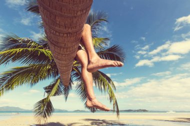 adam palmiye ağacı üzerinde 