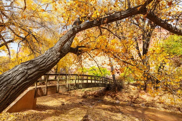 Puente en bosque de otoño —  Fotos de Stock