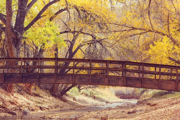 Pont dans la forêt d'automne — Photo