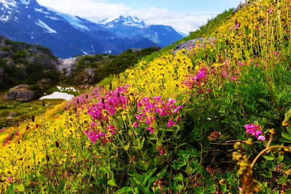 Pittoresca vista sulle montagne — Foto Stock