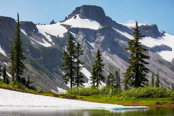 MT. Baker περιοχή αναψυχής — Φωτογραφία Αρχείου