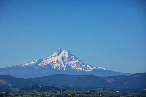 Montar. Capucha en Oregon — Foto de Stock