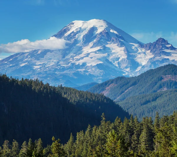 Mount Rainier national park, — Stock Photo, Image