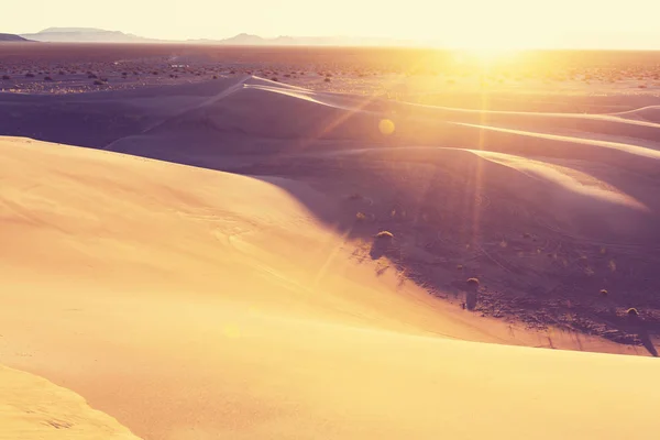 Sand dunes in California — Stock Photo, Image