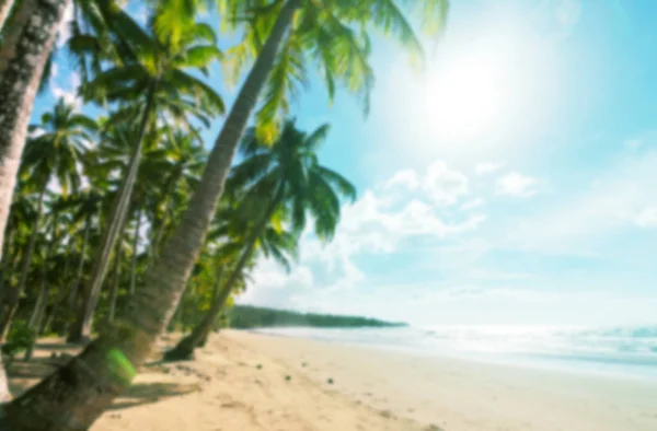 Sérénité plage tropicale — Photo