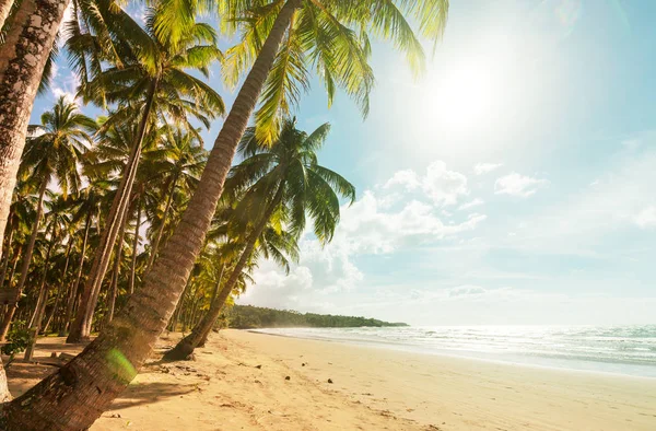 Ruhe tropischer Strand — Stockfoto