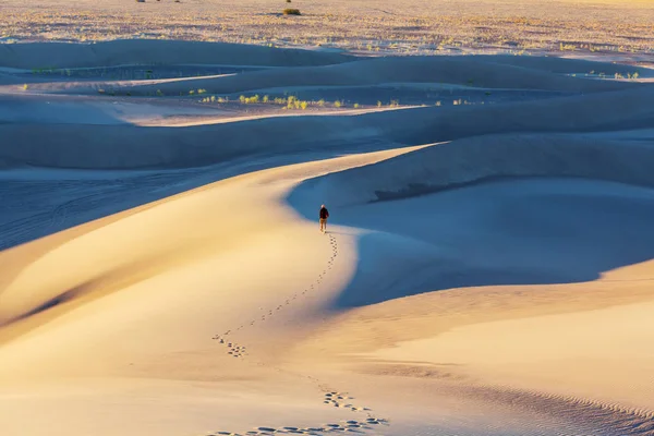 Uomo in dune di sabbia in California — Foto Stock