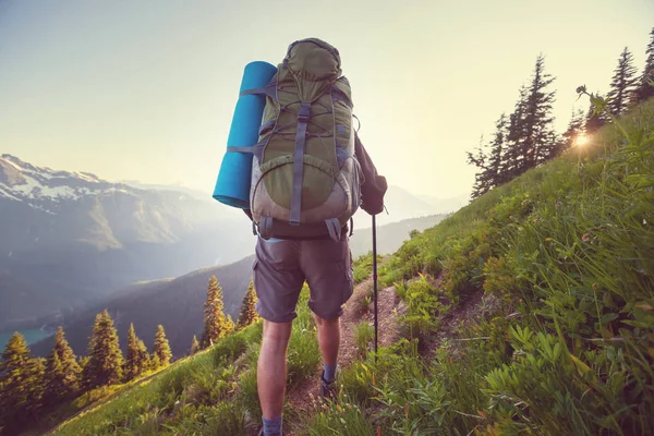Backpacker in the summer mountains — Stock Photo, Image