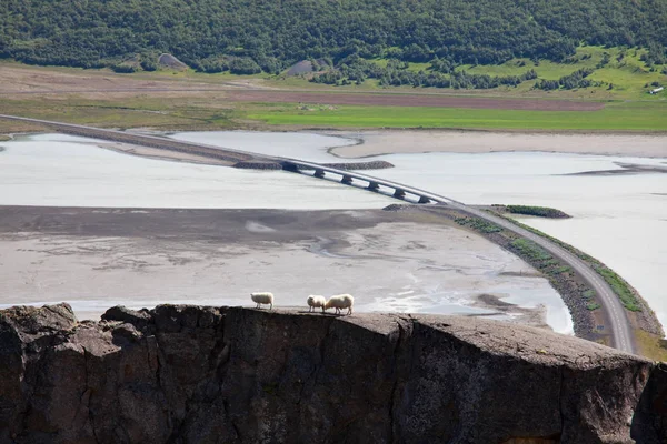 Beau paysage Islande — Photo