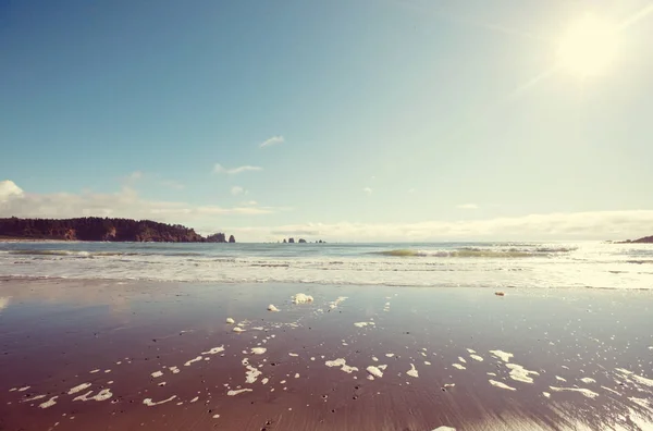 Scenic and rigorous Pacific coast — Stock Photo, Image