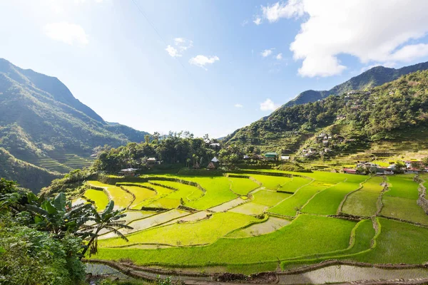 Belos terraços de arroz verde — Fotografia de Stock