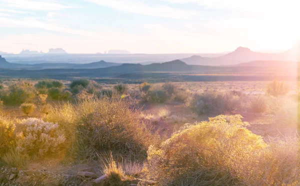 Schöne Landschaften der amerikanischen Wüste — Stockfoto