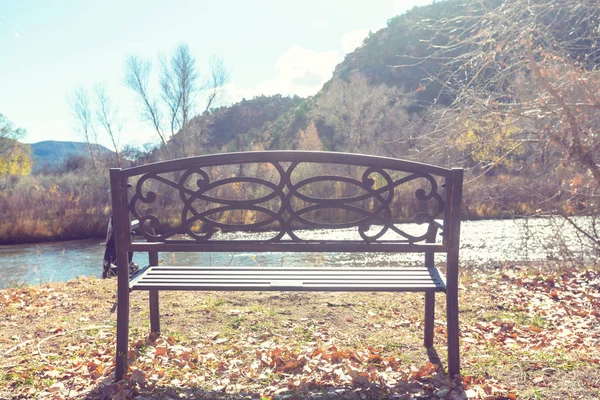 Bank im Garten bei Sonnenreis — Stockfoto