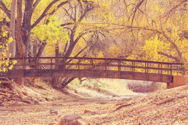 Puente en bosque de otoño — Foto de Stock