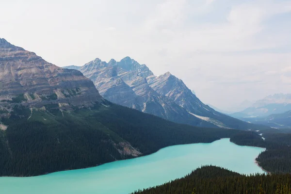 Lago Peyto en el parque nacional Banff — Foto de Stock