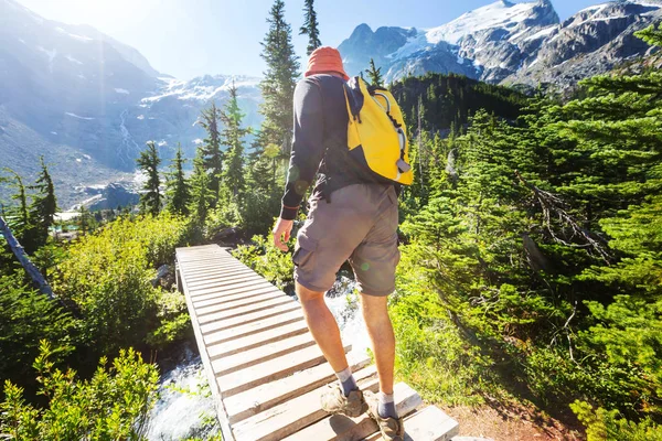 Homme de randonnée dans les montagnes canadiennes . — Photo