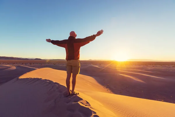 Wandelaar in zand woestijn. — Stockfoto
