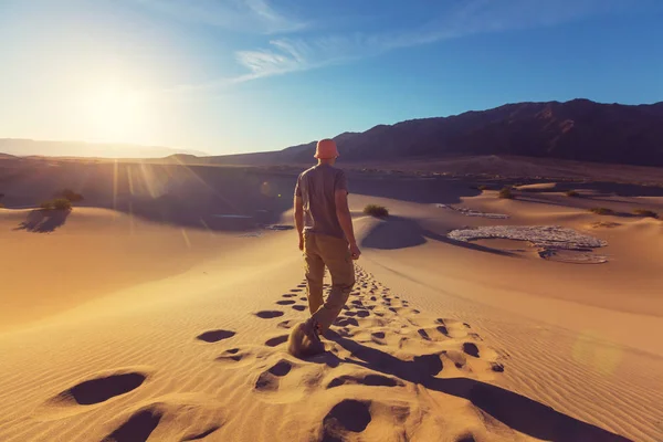 徒步旅行者在沙漠中. — 图库照片