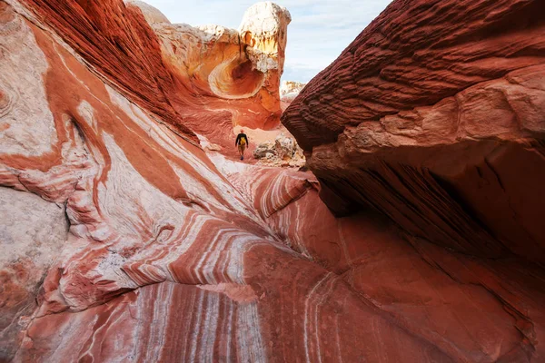 주홍 색 절벽의 코요테 Buttes — 스톡 사진