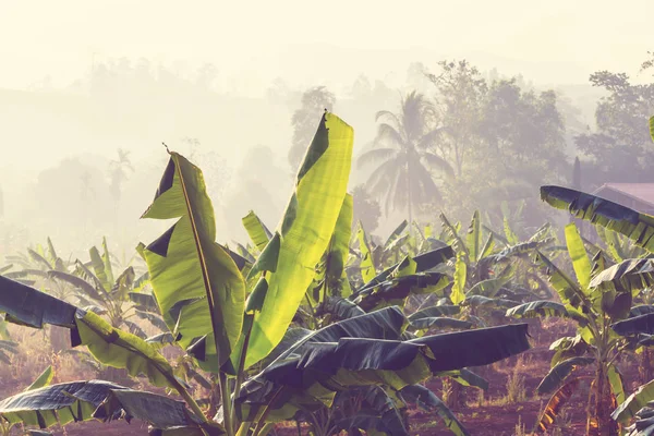 Paysages ruraux dans le nord de la Thaïlande — Photo