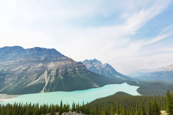 Λίμνη Peyto στο εθνικό πάρκο Banff — Φωτογραφία Αρχείου