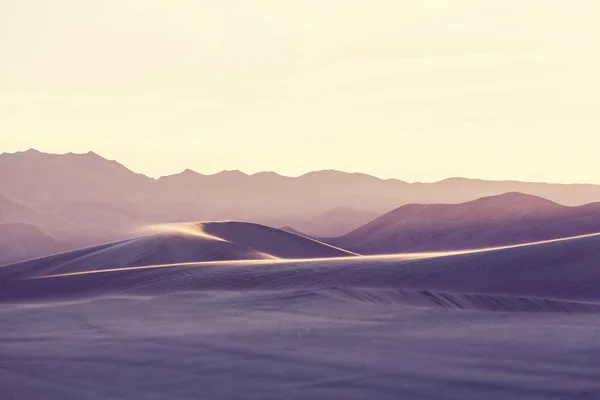 캘리포니아에 있는 모래 언덕 — 스톡 사진