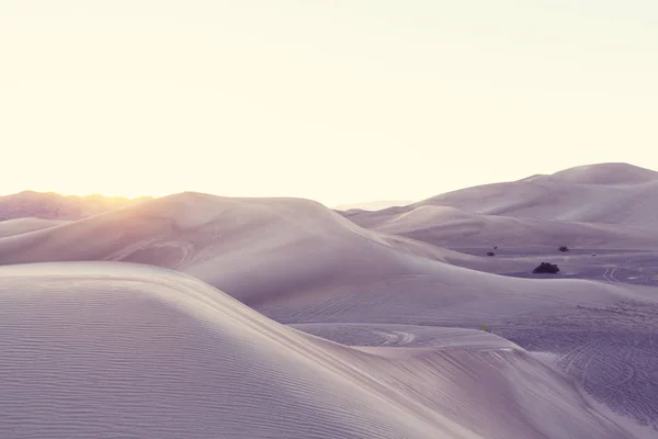 Písečné duny v Kalifornii — Stock fotografie