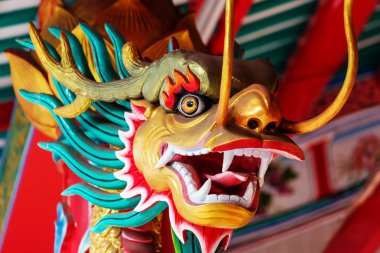 Ejder Tapınağı yakın çekim