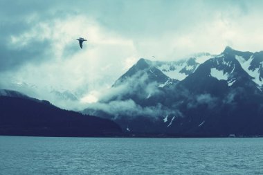 Manzara Alaska, Amerika Birleşik Devletleri