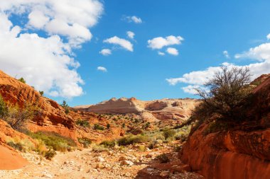 Capitol Resifi Ulusal Parkı