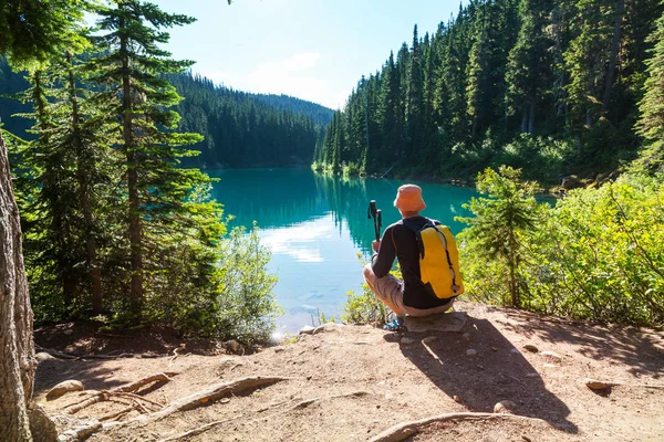 Caminhadas homem nas montanhas canadenses . — Fotografia de Stock