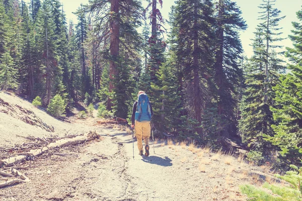 Vandring i Sierra Nevada — Stockfoto