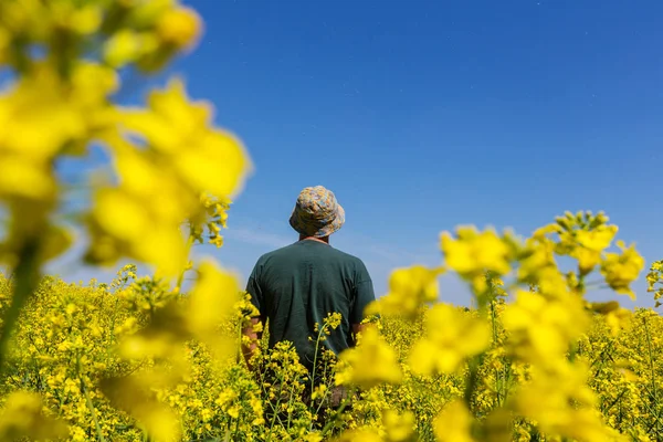 Mann auf gelbem Feld — Stockfoto