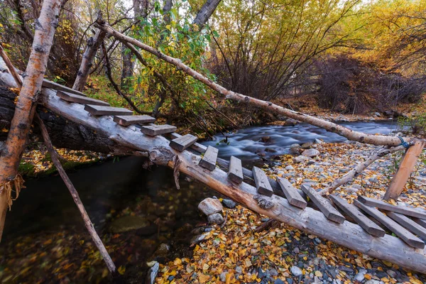 Il torrente foresta in autunno — Foto Stock