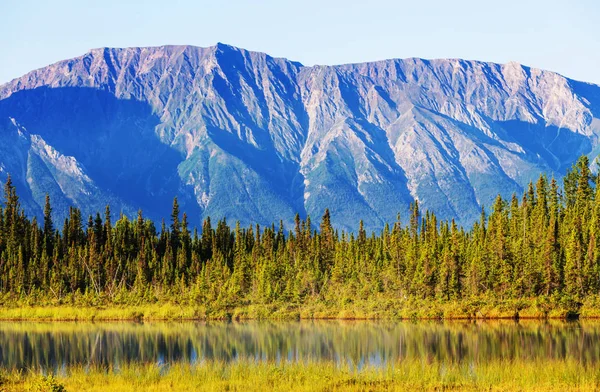 Alaska tundrasında dinginlik gölü — Stok fotoğraf