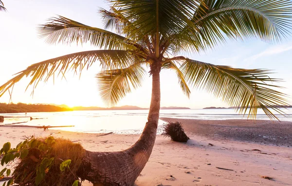 Serenidad en la playa tropical — Foto de Stock