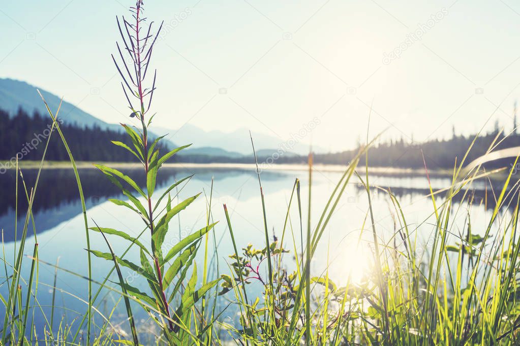 Serenity lake in Alaskan tundra