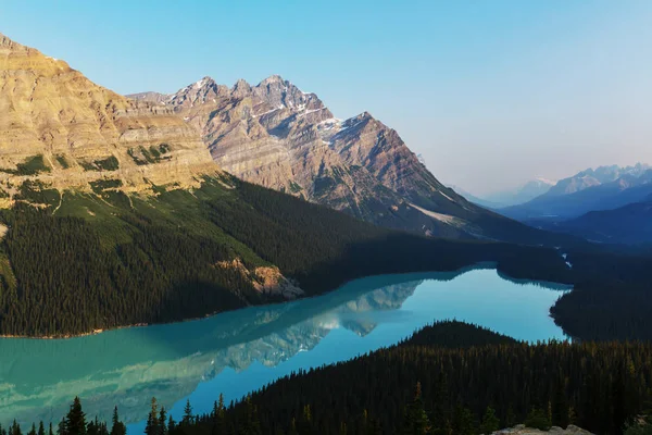 Lago di Peyto nel parco nazionale di Banff — Foto Stock