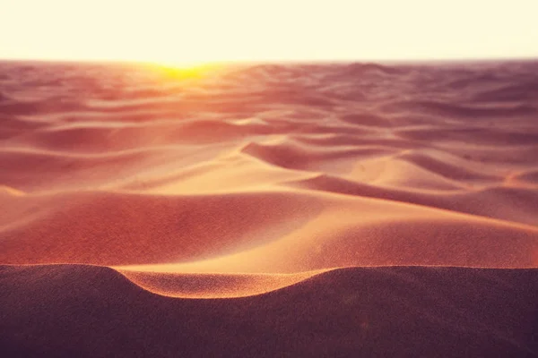 Dunas de areia intactas — Fotografia de Stock