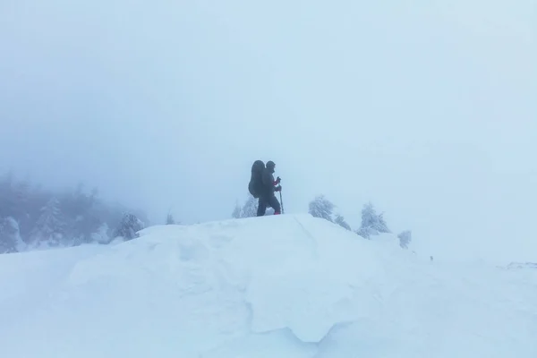 겨울 산에서 등산객 — 스톡 사진